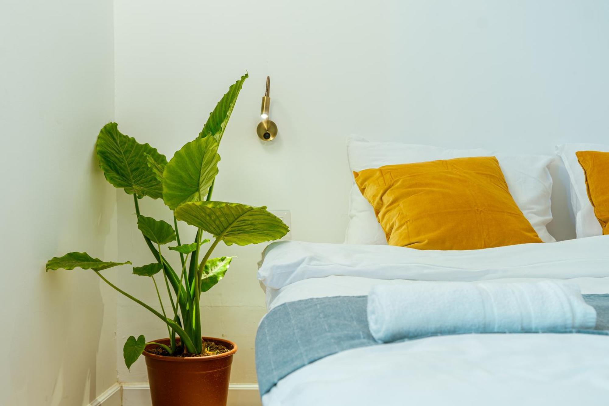 Jabitat- Jaffa Boutique Tlv Hotel เทลอาวีฟ ภายนอก รูปภาพ