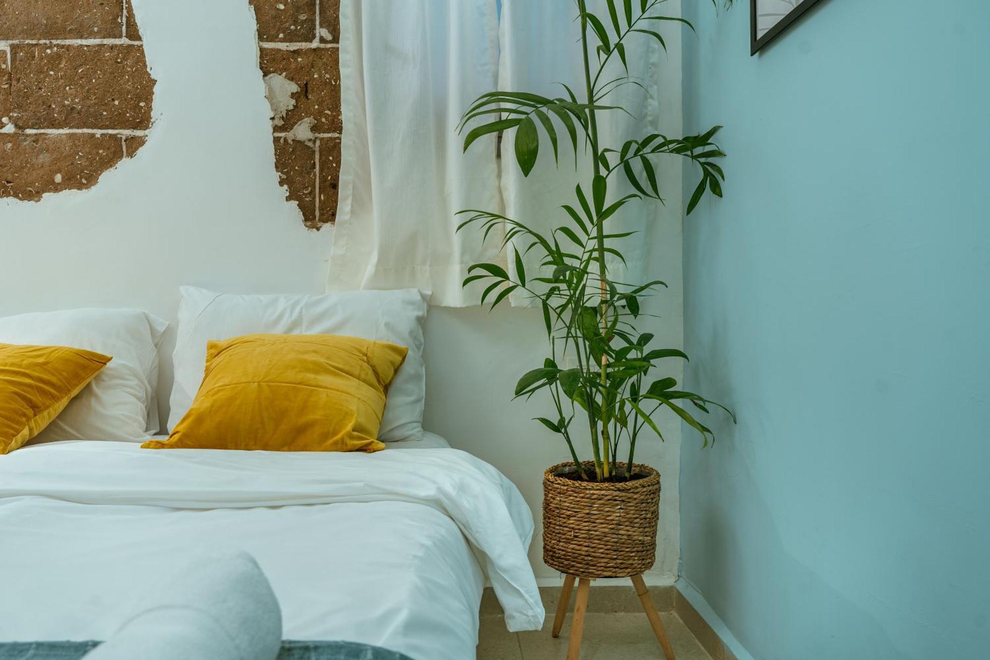 Jabitat- Jaffa Boutique Tlv Hotel เทลอาวีฟ ภายนอก รูปภาพ